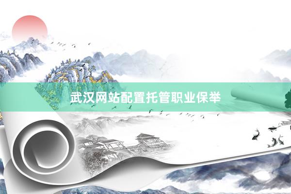 武汉网站配置托管职业保举