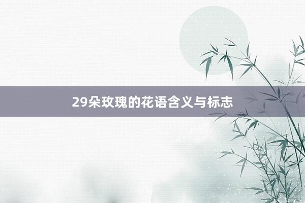 29朵玫瑰的花语含义与标志