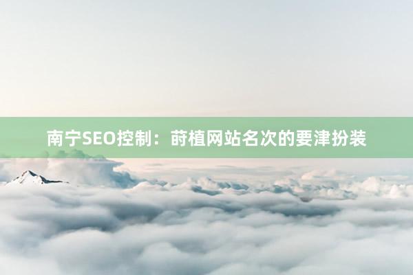 南宁SEO控制:莳植网站名次的要津扮装